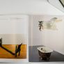 Robert Rauschenberg A Retrospective by Walter Hops and Susan Davidson Image 6