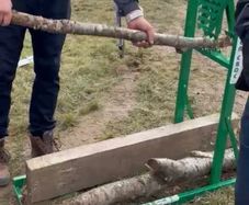 Log Holder Timber Croc