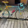 Bianchi Pantani Image 9