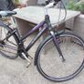 lady bike for sale Image 3