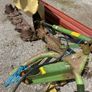7' krone disc mower Image 7