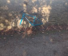 trek fx 2