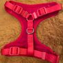 Xmas Dog Harness Image 2