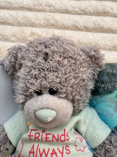 Me To You Friends Always Teddy Bear approx. 12 cm. Used Dirty Please see photos