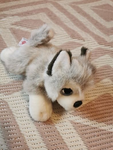 Soft toys dog x 2