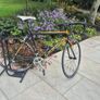 Road cycle Image 4