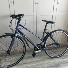 Giant liv bike in great condition