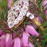 Antique Art Deco Marquise Diamond Ring 18ct Gold Image 6