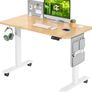 Electric Standing Desk Height Adjustable Standing Desk Sit Stand Desk Stand Up Desk with Headphone Hook 100x60cm Desktop for Home (FREE SHIPPING) Image 2