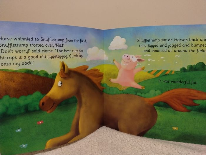 Wonderful Collection Of Children,s Story Books