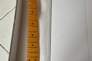 Telecaster Neck and bushings with graphtech nut and trees