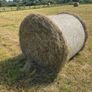 hay Image 2