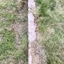 Bricks, Greenhouse Base Image 3