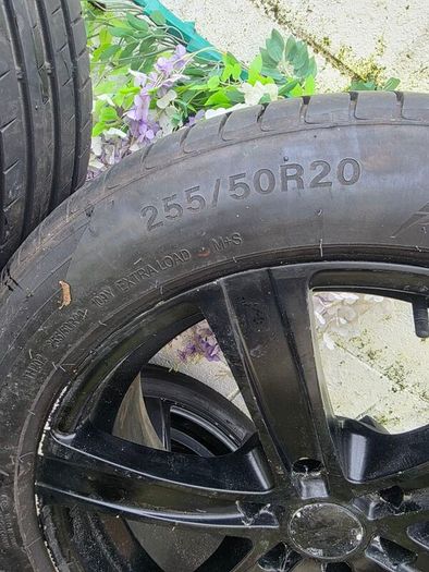 Alloys