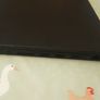 Lenovo ThinkPad t570 Image 7