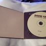 David Grey - Lost Songs 95-98 Cd Image 2