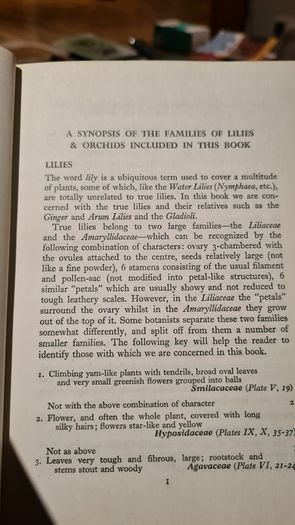 West Africa Lillies And Orchids. By J K. Morton. First Edition. Hardback In Good Condition. WITH 20 FABOLOUS PLATES WITH 80 LILLIES.