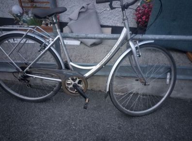 ladies bike
