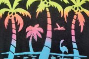 Tee shirt Florida no sleeves