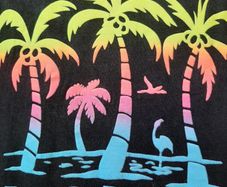 Tee shirt Florida no sleeves