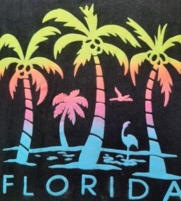Tee shirt Florida no sleeves