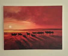 Zebu at Dusk Canvas
