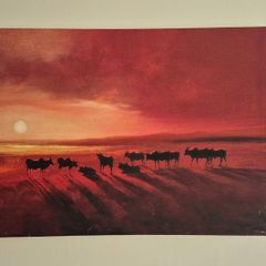 Zebu at Dusk Canvas