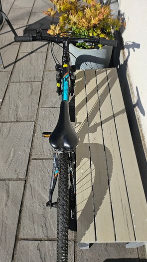 Orbea MX 24" junior bike