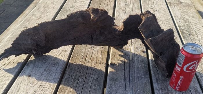 bog oak