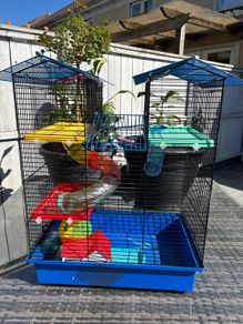 Hamster cage