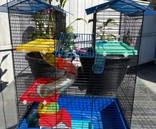 Hamster cage