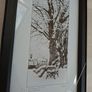 Patrick Donald framed Photo." Patrick Kavanagh/Grand canal Dublin Winter". Image 2