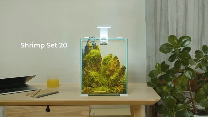 Aquael Shrimp Set Smart Day&night 20 White