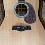 Timberline Guitar Image 2