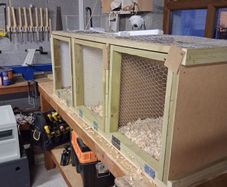 Poultry show pens