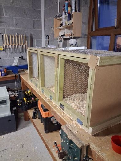 Poultry show pens