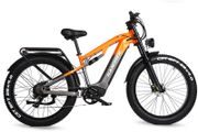 Randride YX80 Electric Bike