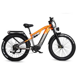 Randride YX80 Electric Bike