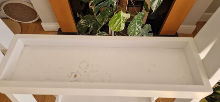 Ladder shelf