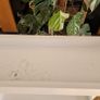 Ladder shelf Image 4
