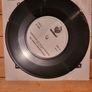 The Whole Chicken Band Teenage Mutant Kung Fu Chickens 7 inch single Harmac 1985 Image 4