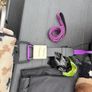 All you will need for puppy Image 4