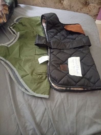 Dog bundle