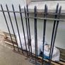 Heavy Metal Garden Fence Image 3