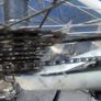 Superlight Felt Road Bike 22.5" Frame Image 4