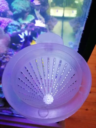 Fish Feeder
