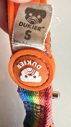 Dukier Rainbow Dog Collar (small)
