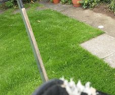 Garden rake