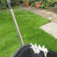 Garden rake