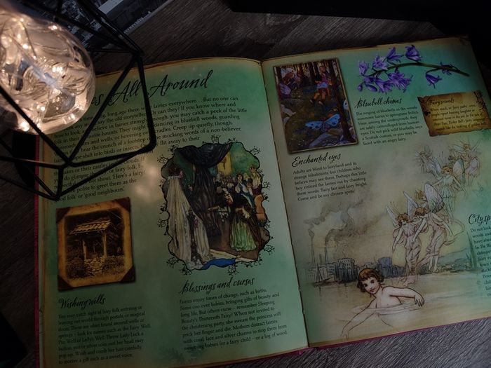 A Field Guide To Fairies ! Beautiful Pop-up Book ! Hardcover ! 2009 ! by Kingfisher !